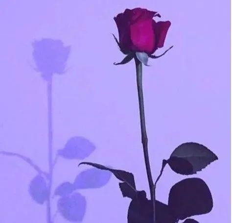 今年春夏超流行的4組配色，穿對了巨顯白巨顯貴！